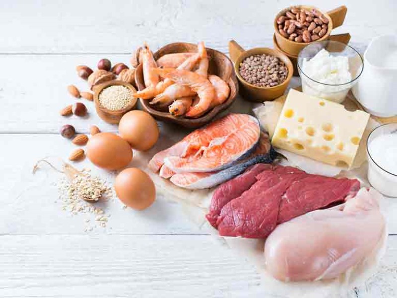 What all you need to know about PROTEIN? - Food Fitness & Fun